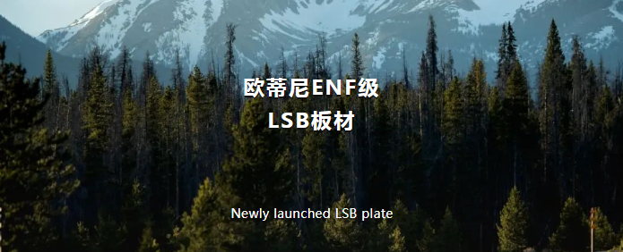 歐蒂尼ENF級LSB板材：打造綠色環保家居新標桿